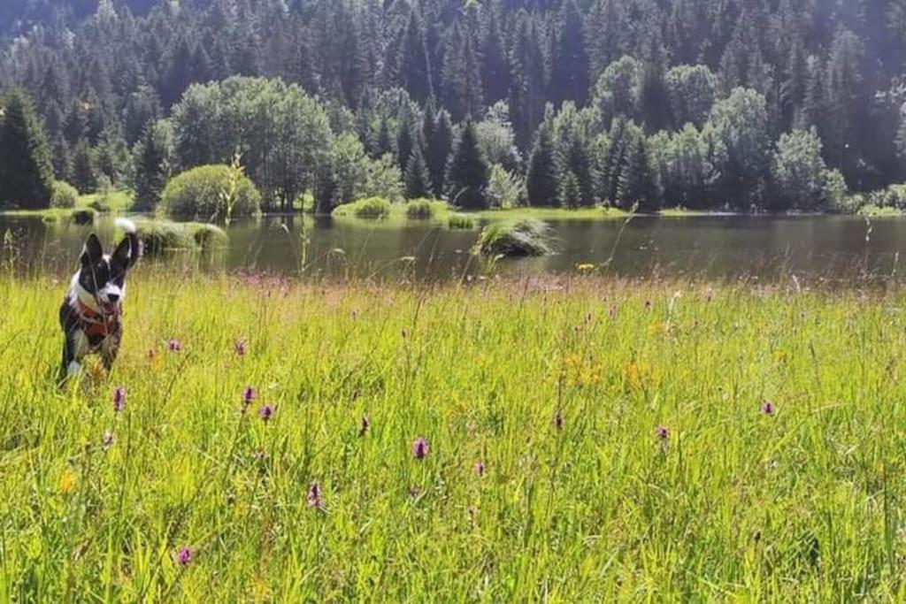 Studio Avec Belle Vue Proche Du Lac Genin Echallon Extérieur photo